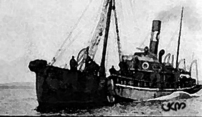 Troolari